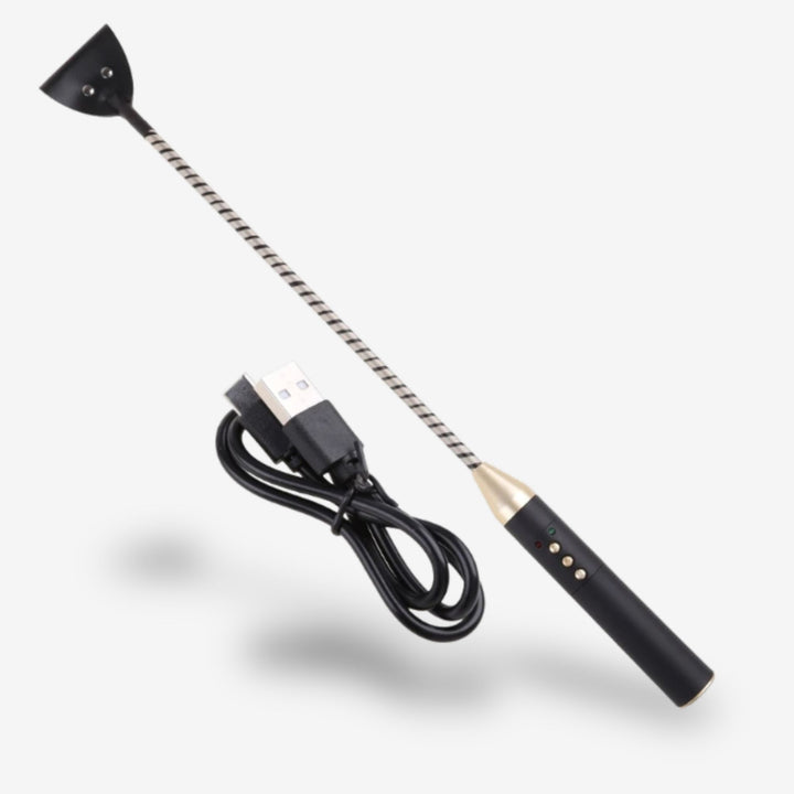 Cravache électrique <br> Décharge contrôlée | Séduction extrême