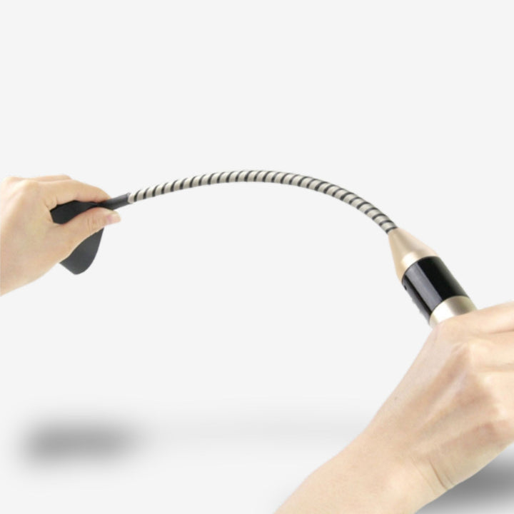 Cravache électrique <br> Décharge contrôlée | Séduction extrême