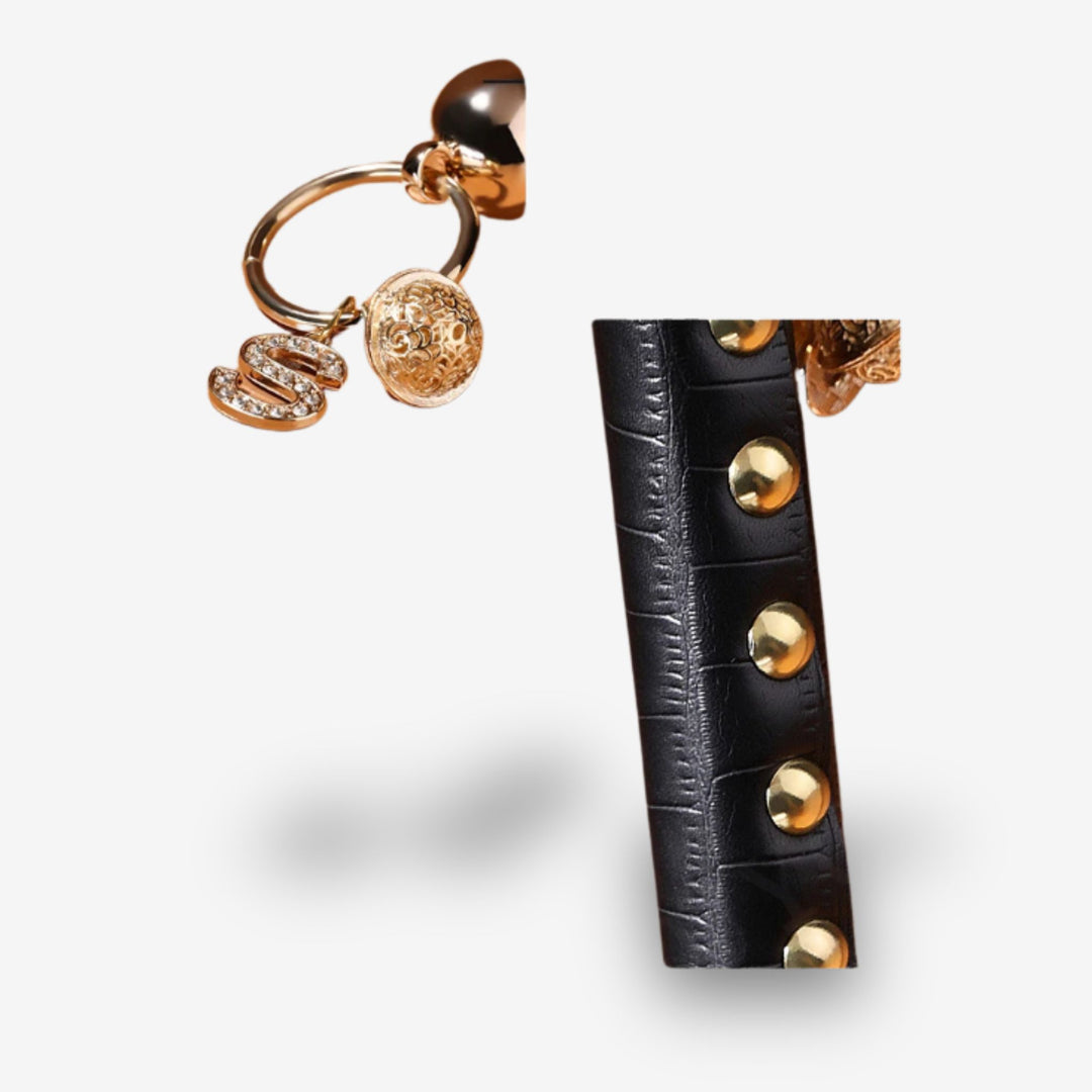 Fouet SM <br> Sensations vives | Plaisir discipliné