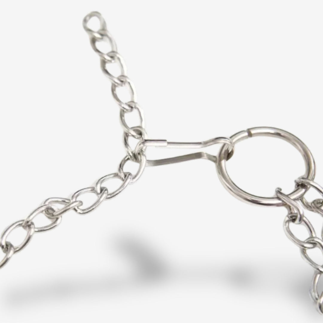 Pince téton chaîne <br> Pression ajustable | Stimulation dominée