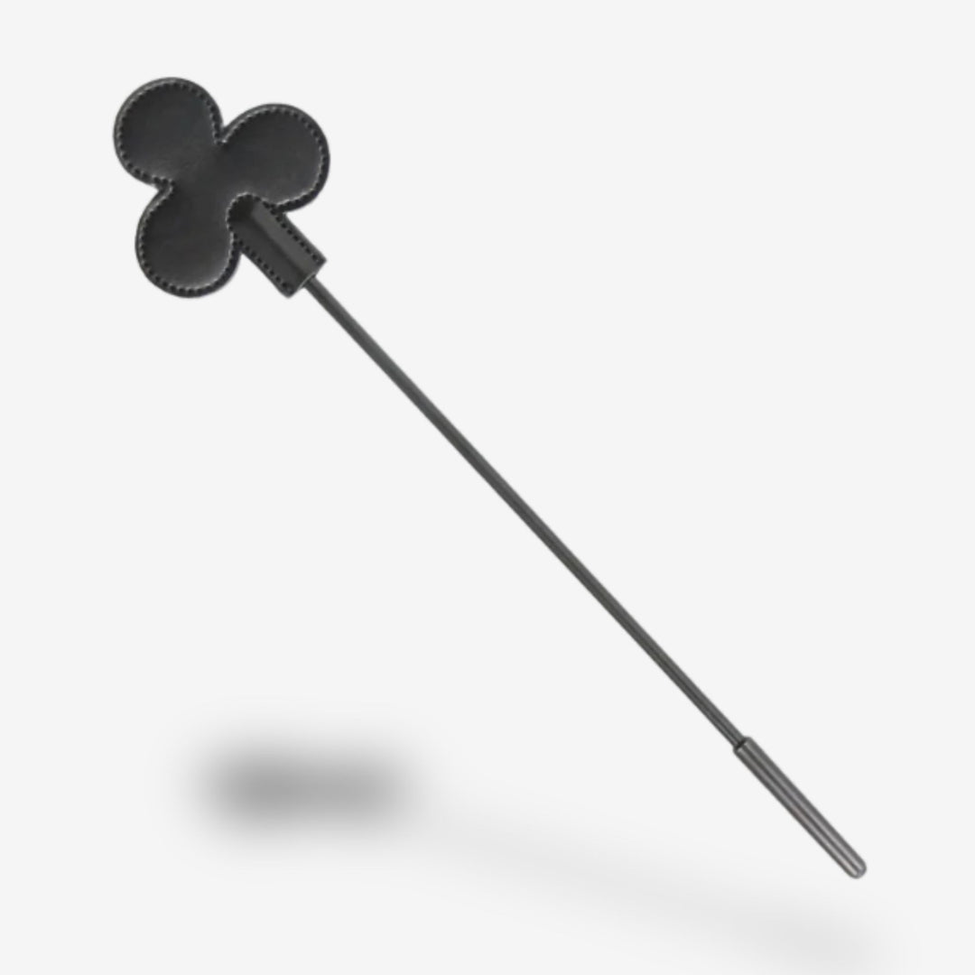 Cravache symbolique <br> Fantasme ludique | Discipline douce
