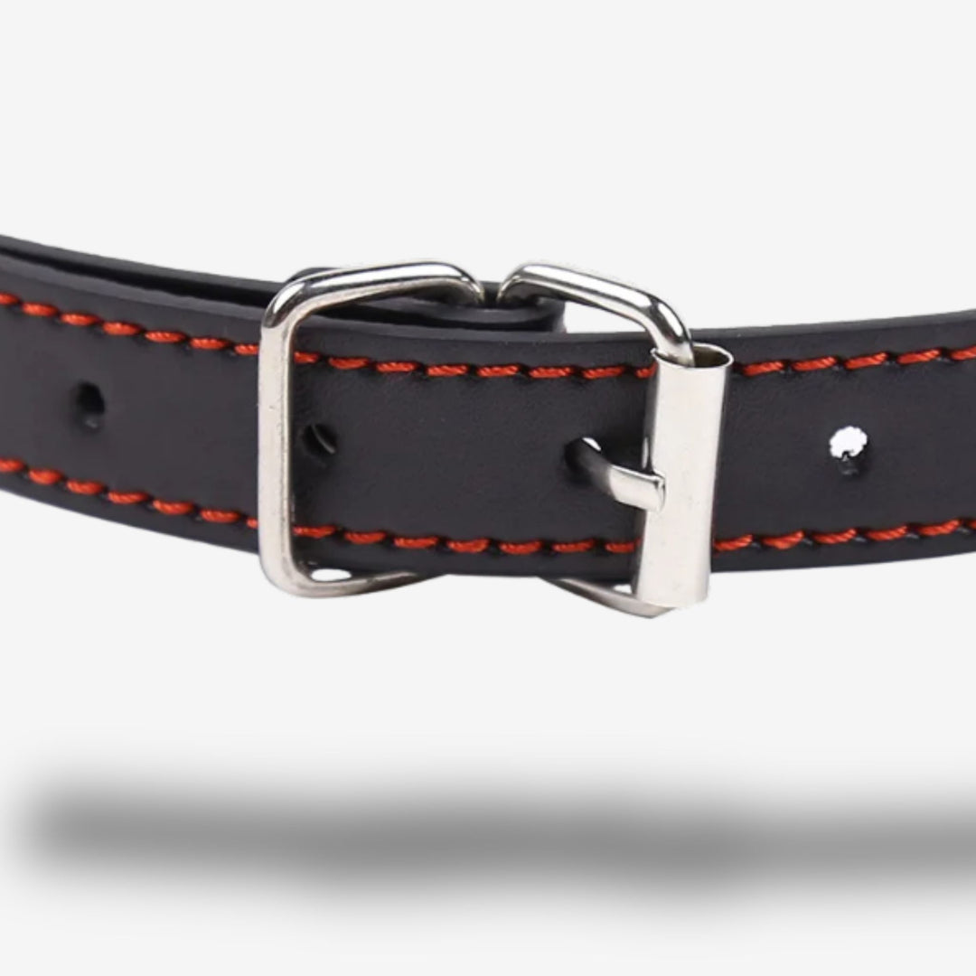 Baillon os canin <br> Soumission ludique | Allure animale