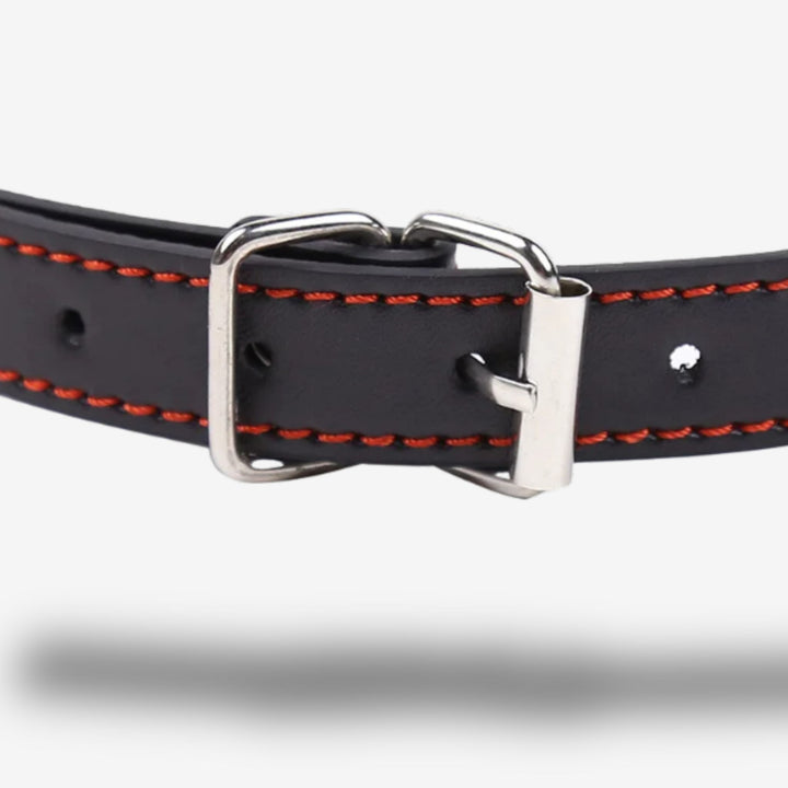 Baillon os canin <br> Soumission ludique | Allure animale